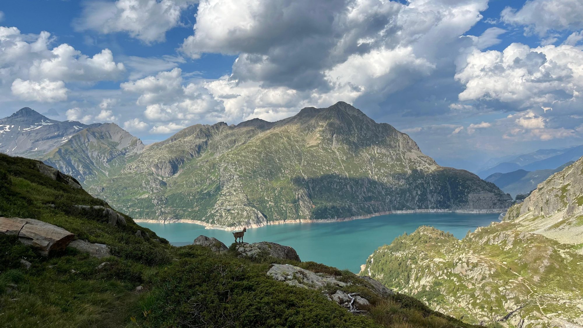Dessine moi un chamois Eau dess(o)us Les murmures de la montagne Parenthèses protectrices d’un refuge suspendu Aime eau son